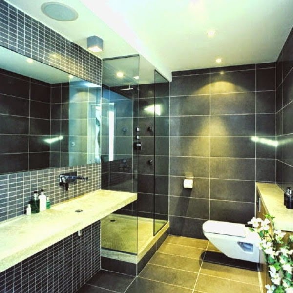 Dark bathroom ideas