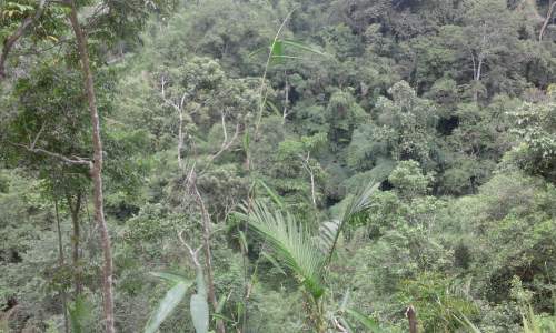 Tafsir Arti Mimpi Tentang Jurang Lengkap Melihat Jatuh Berada Masuk Menurut Primbon Jawa Mentari Bali Holiday