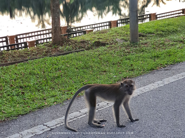 Taman Botani Johor