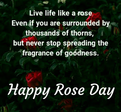 Quotes on Rose day