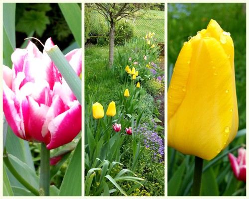 Nunu S Garn Und Stofflabor April 2016