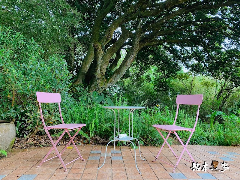 陽明山秘境景觀咖啡廳「山上聊」cafe森林系下午茶