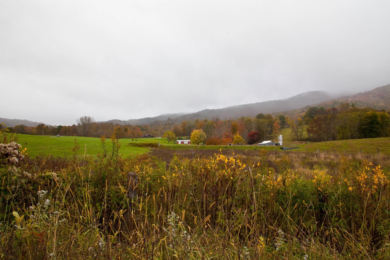 Lincoln's Domain Near Dolly Sods, West Virginia
