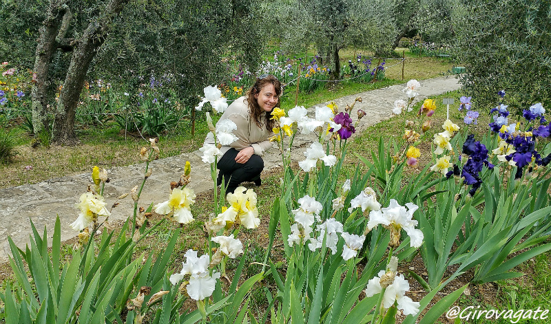giardino iris firenze
