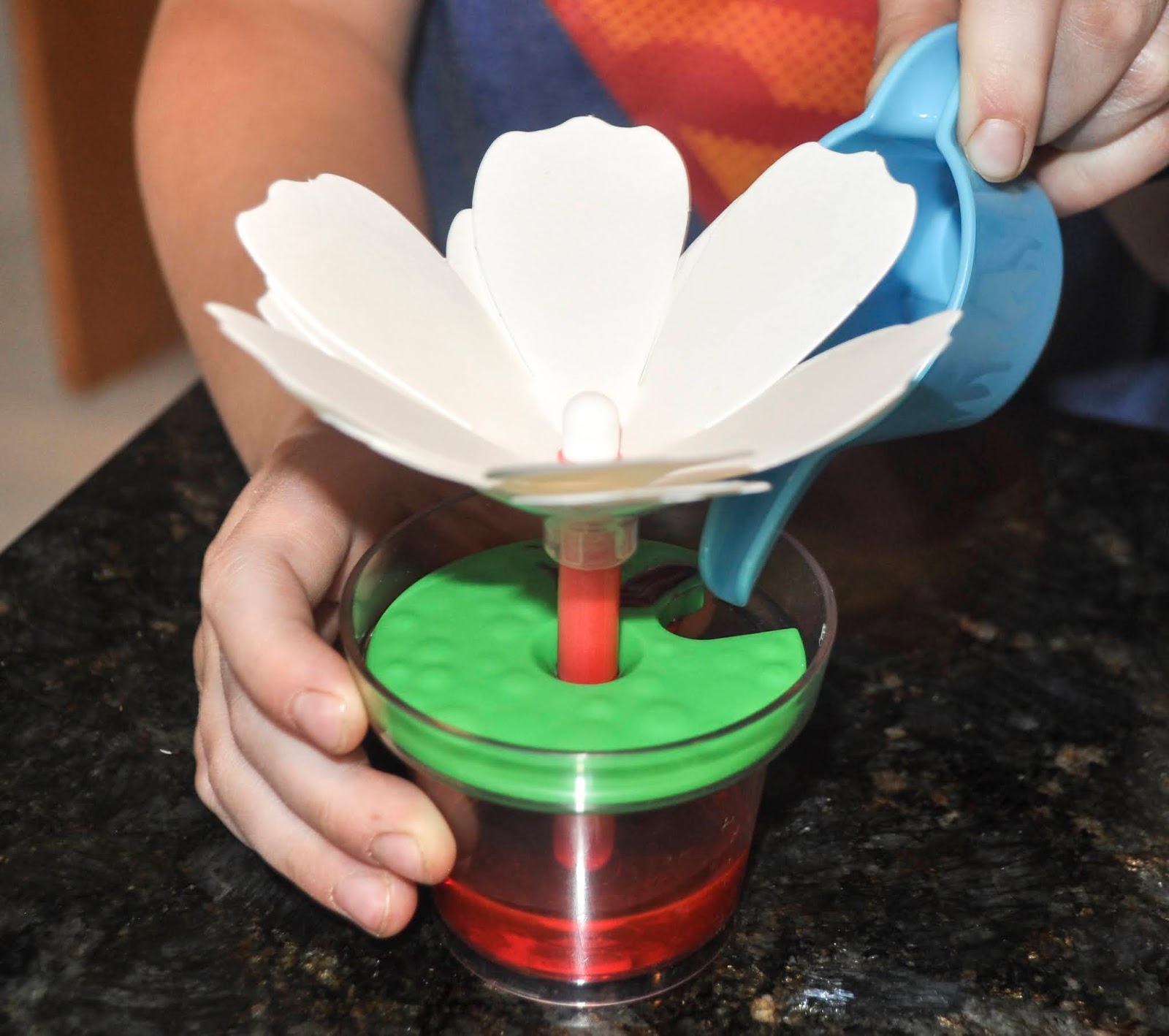 The Prettiest STEAM Activity: Crayola Paper Flower Kit