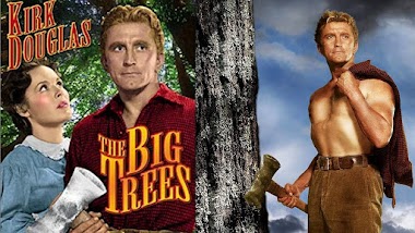 New Arrivals at BlackStarTV!!! 