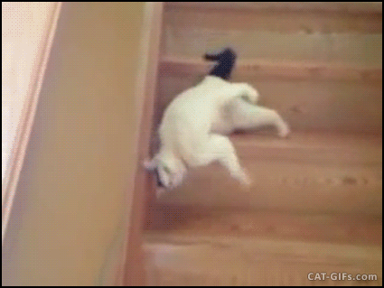 AKI GIFS: Preguiça de descer a escada (Gif)