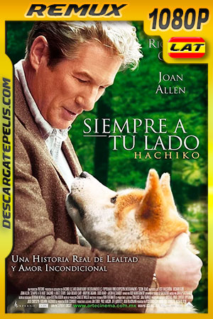 DescargatePelis.com