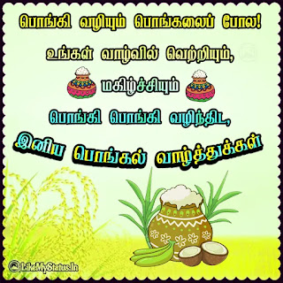Tamil pongal wishes