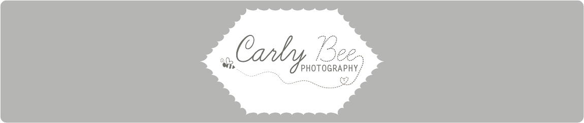 carly bee photography