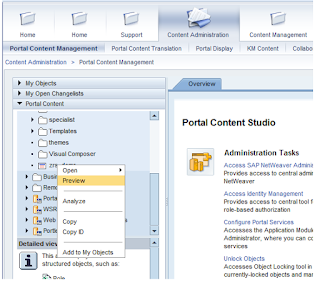 ABAPer Street: Deploy ABAP Webdynpro application in SAP Enterprise portal