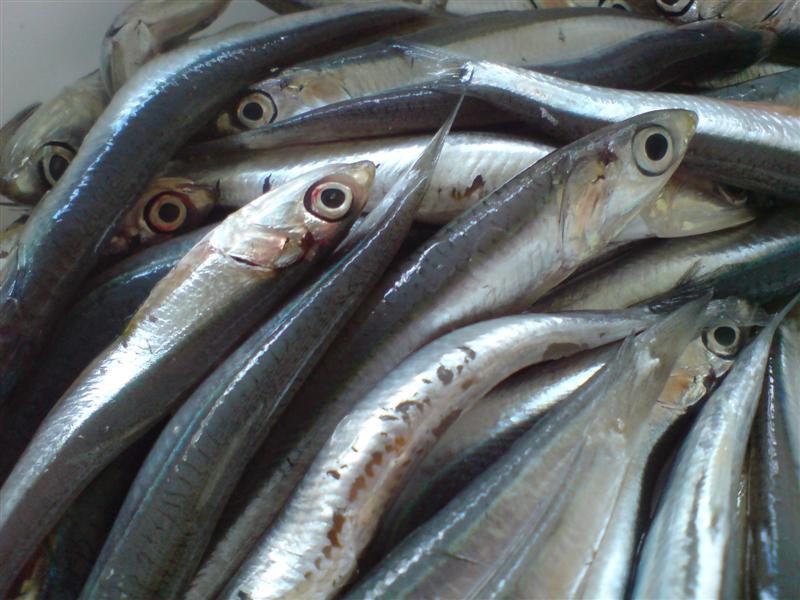 Less is Morbier ingredient ANCHOVIES