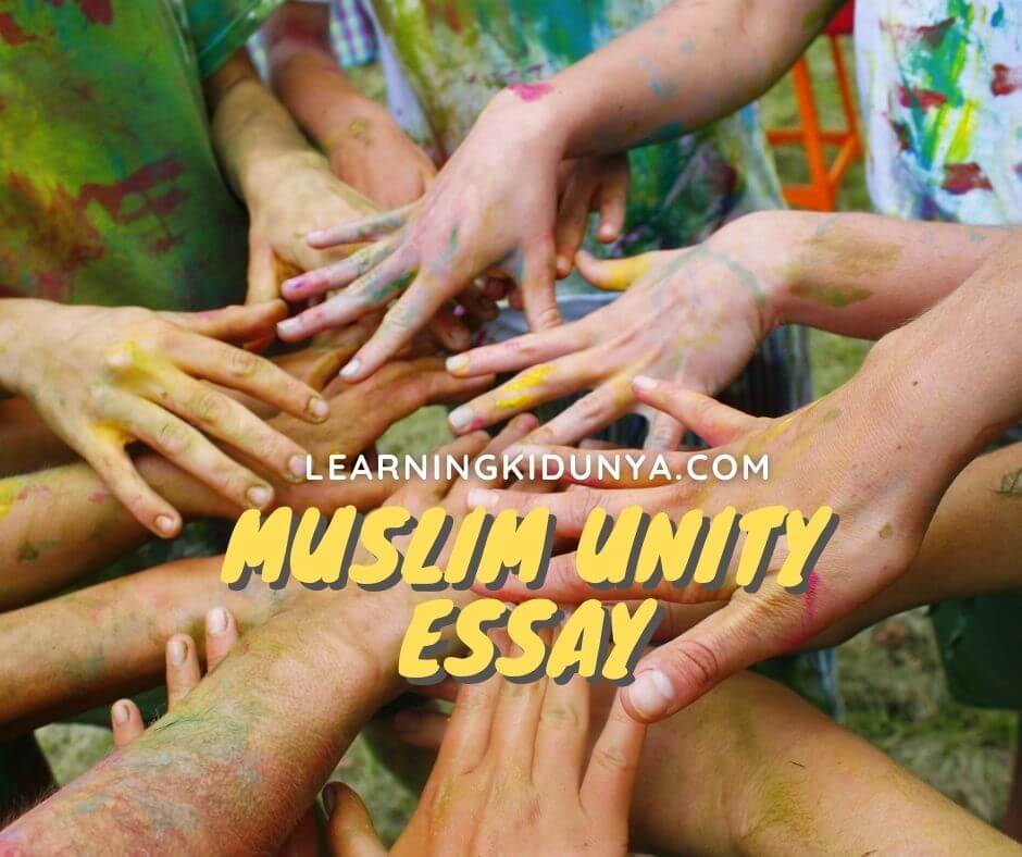 importance of muslim unity essay for class 12, importance of muslim unity essay in english with quotations
