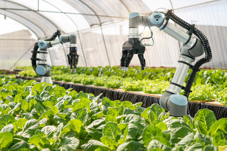 robots in Crop Monitoring And Analysis robots in Crop Monitoring And Analysis (Agricultural Robot)