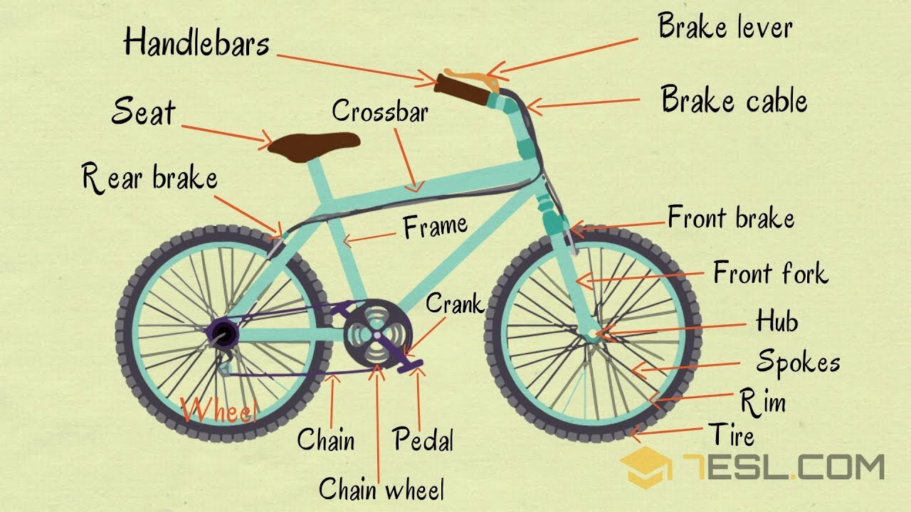 The Dream Bicycle Parts of Bicycle
