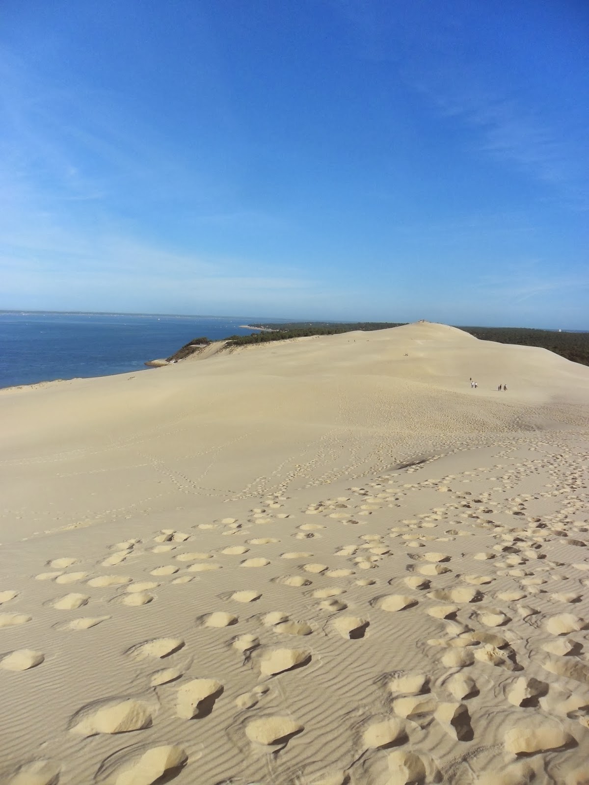 The desert in Europe La Grande Dune du Pilat