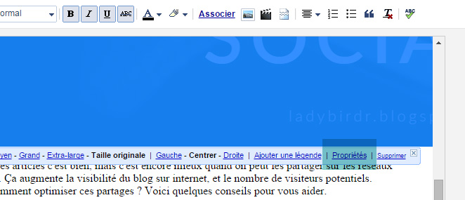 Optimiser ses articles pour les réseaux sociaux . Lady Bird Red || http://ladybirdr.blogspot.fr/ Optimiser ses articles pour les réseaux sociaux