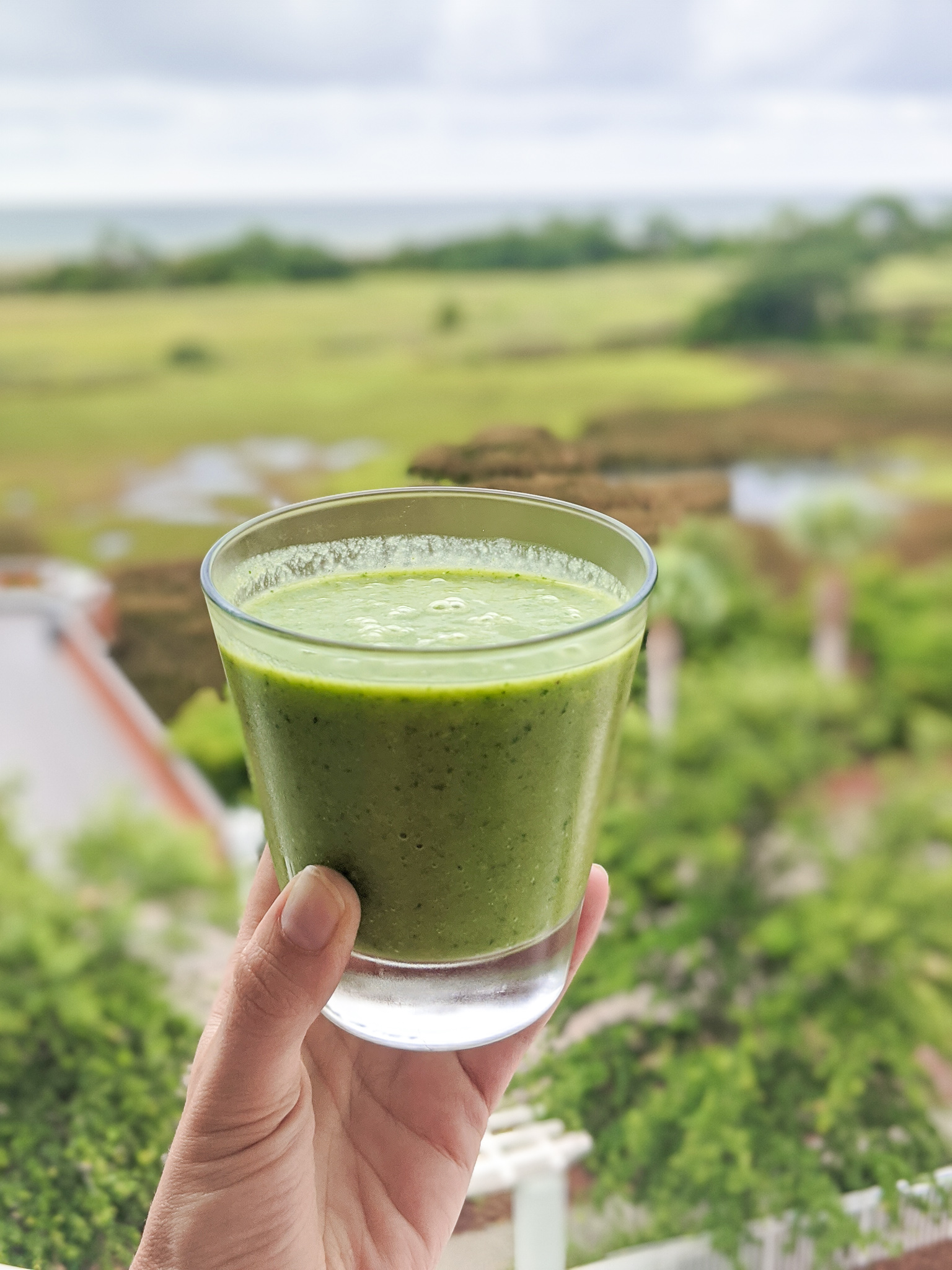 Don't Mind Our Mess Peanut Butter "Ice Cream" Smoothie