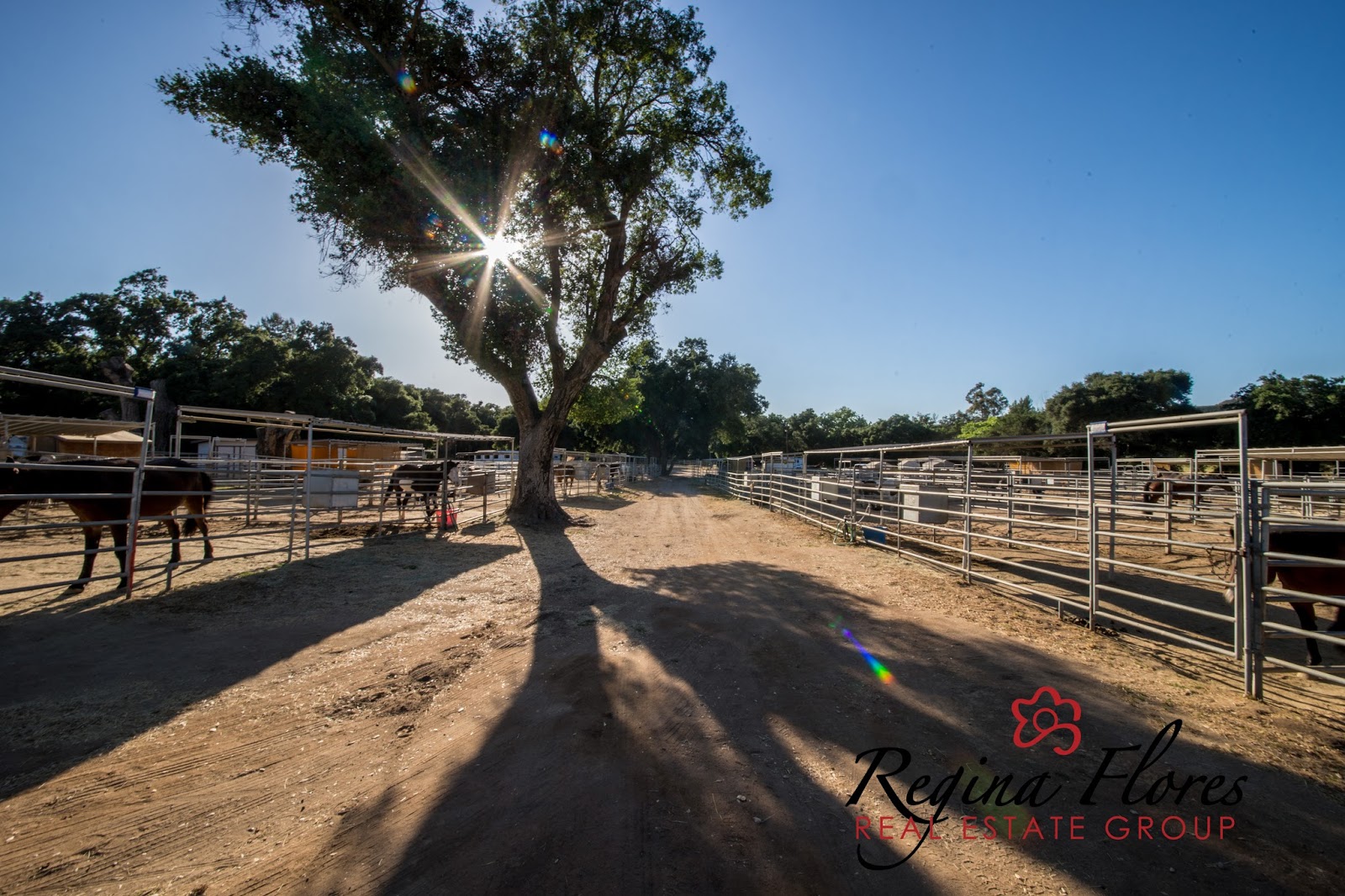 All About Ramona CA Things to do in San Diego Country Estates