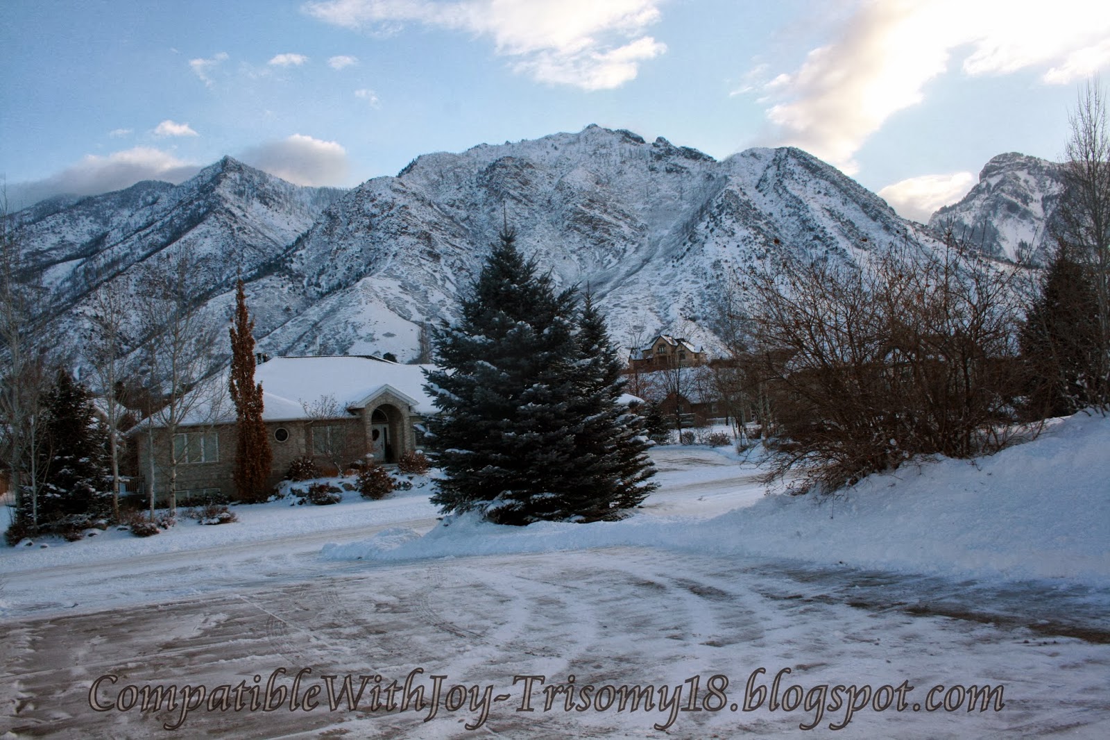 Compatible With Joy-Trisomy18: Random (Grumpy) Thoughts and Some 