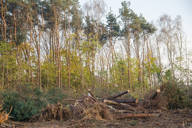 droga ekspresowa s5 bydgoszcz zamość rynarzewo szubin poznań
