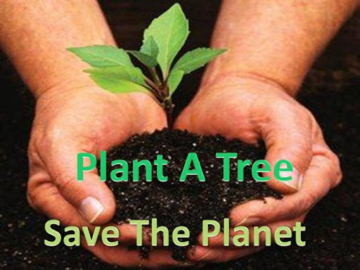 tree plantation essay in bengali
