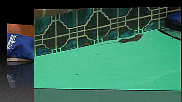 The FrogLog Is Animal Saving Escape Ramp For Pool, Perfect For Frogs, Chipmunks, Birds, Mice, And Etc