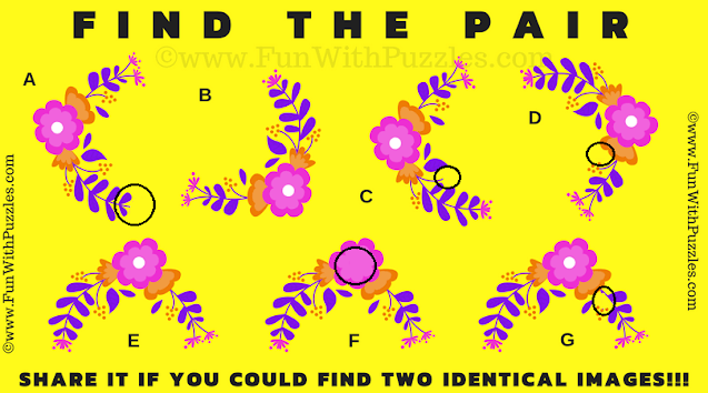 Find the Matching Pairs: Visual Puzzle Challenge Answer