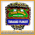 Bunga Papan Wedding 76