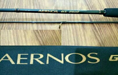 Joran Shimano Aernos GS