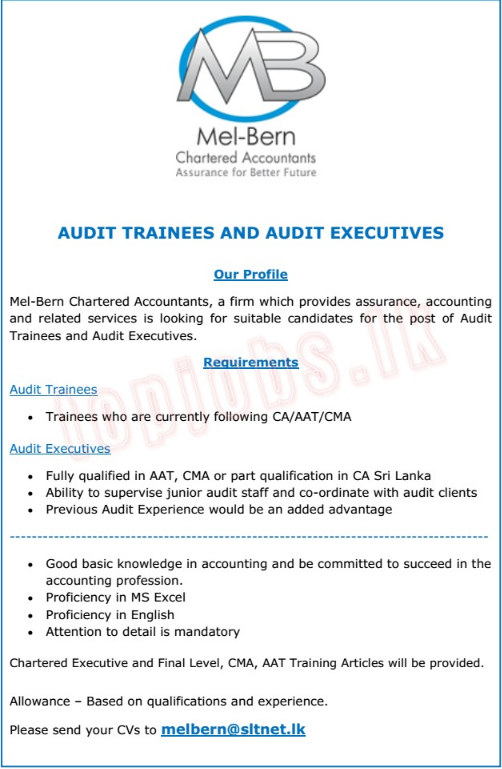 Vacancies Audit Trainees Audit Executives