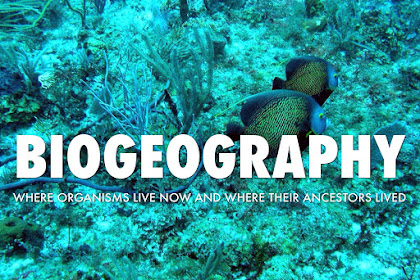 Bio-Geography for NET/SET (SET-2)