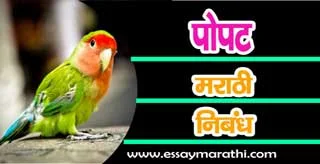 Essay on parrot in marathi