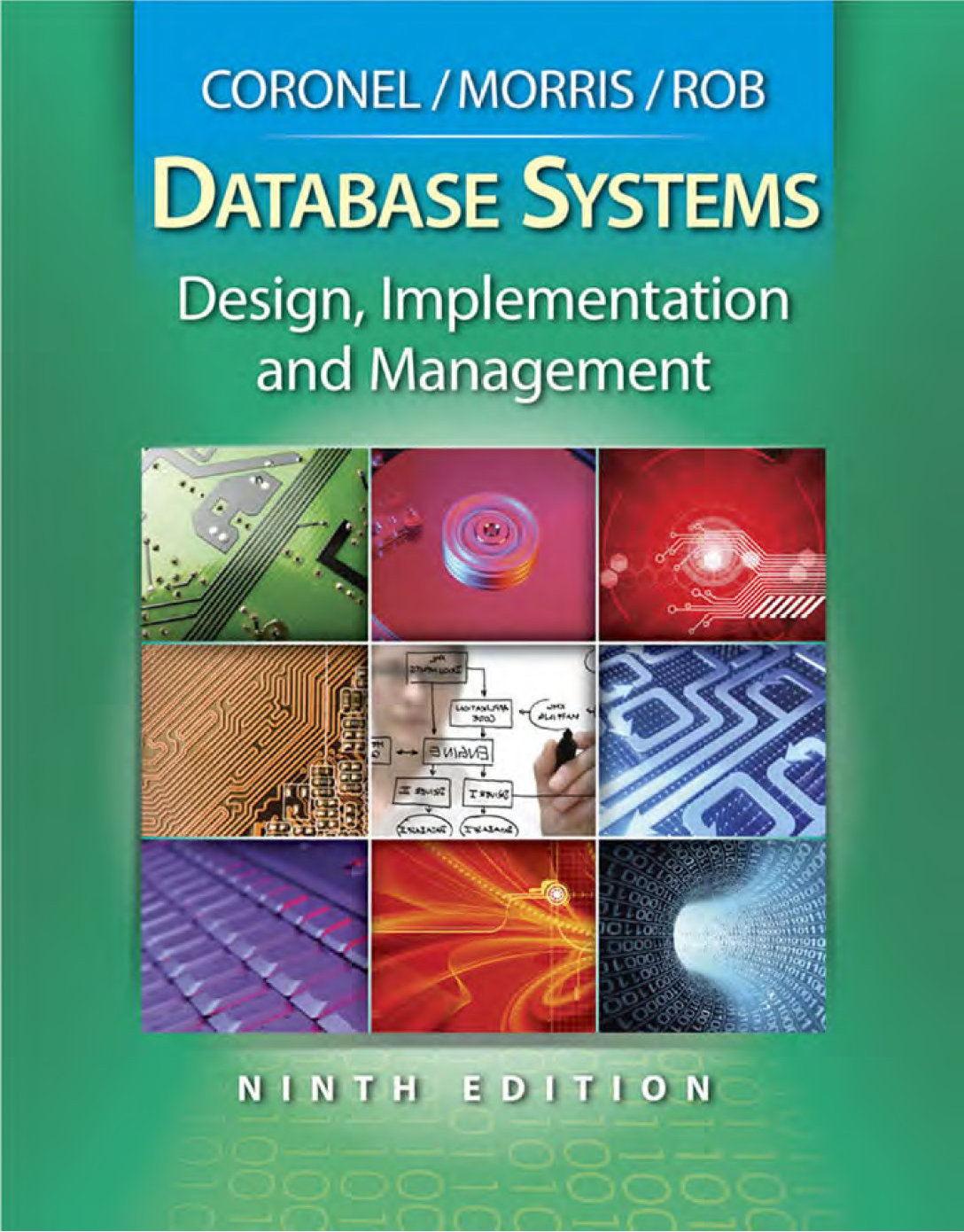 essay on database management system