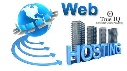 +2] 7. Web Hosting - Solved Questions from textbook ~ True IQ