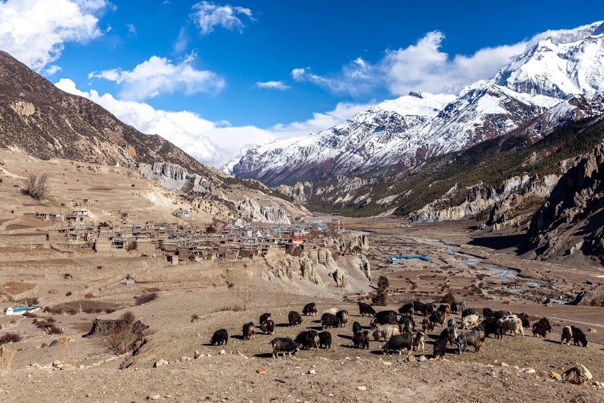 200км по красно-белым черточкам.. Around Annapurna. март-апрель 2017
