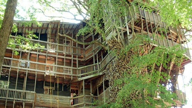 tree-house-1