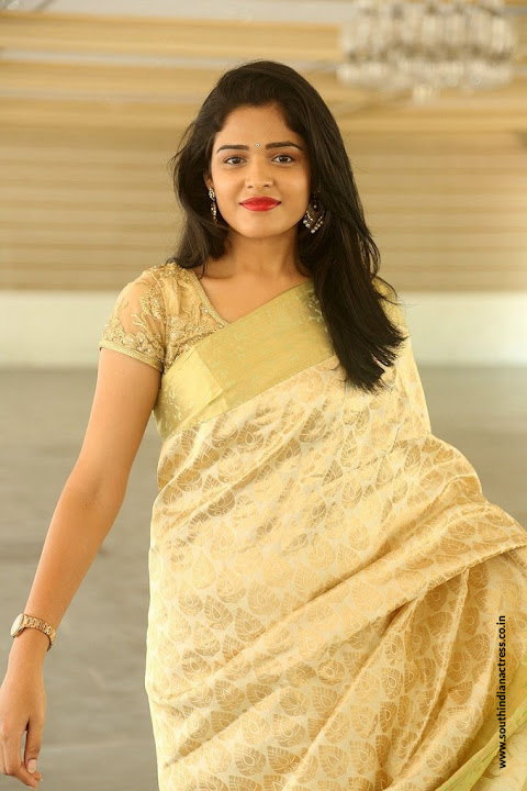 Harshita at Silk India Expo 2017 Launch