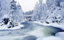 snow wallpapers forest snowy desktop background backgrounds winter computer fall screen nice scenes con scene scenery nature el se cool