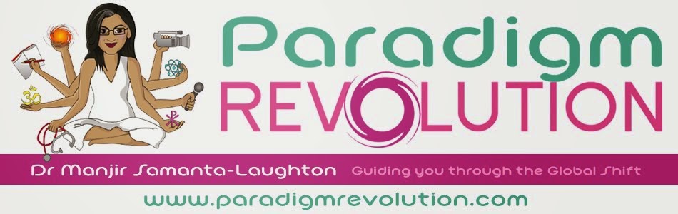 Paradigm Revolution