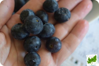 Mermelada de Arándanos, Calabaza con Vino de Pasas y Canela