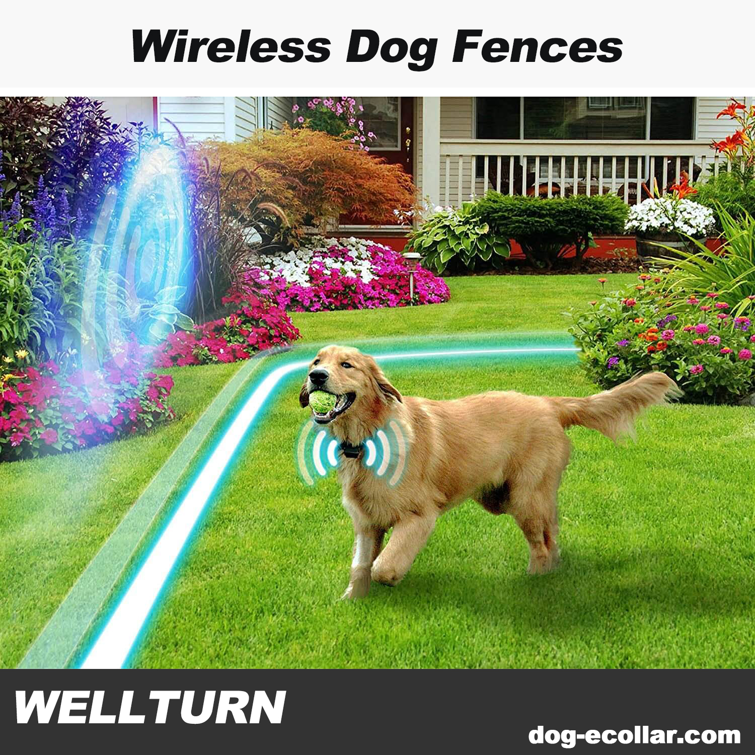 wellturn Dog electronic fence