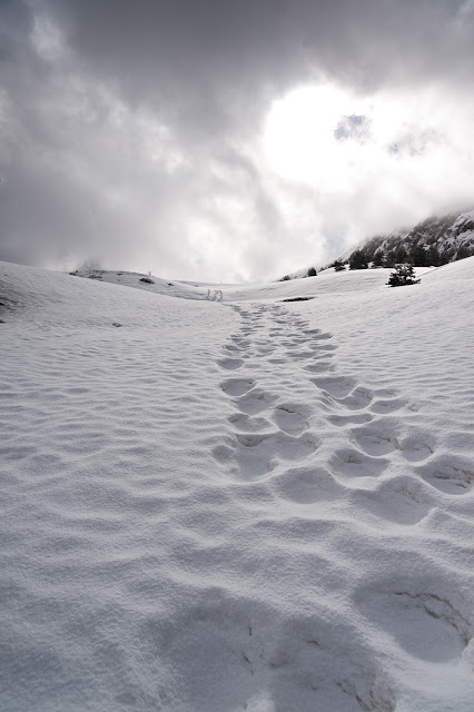 Risalendo la valle dei Curti, verso la Serra di Celano