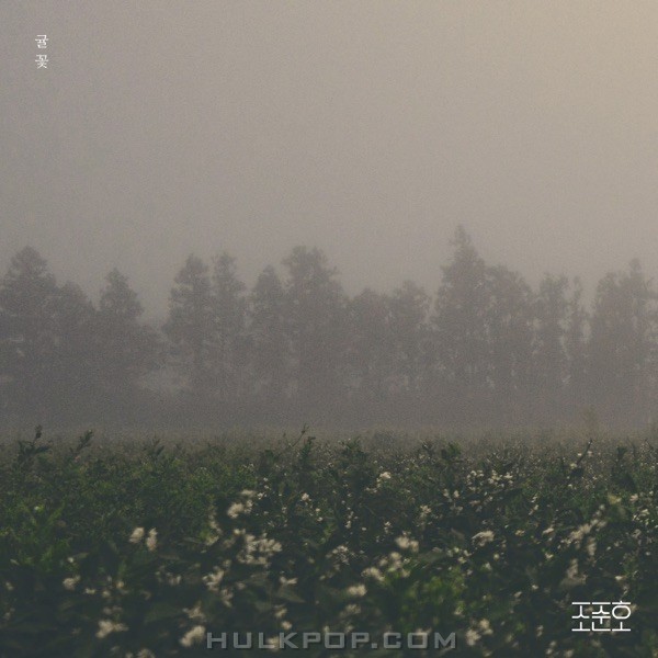 Zozno – Citrus Flower – Single