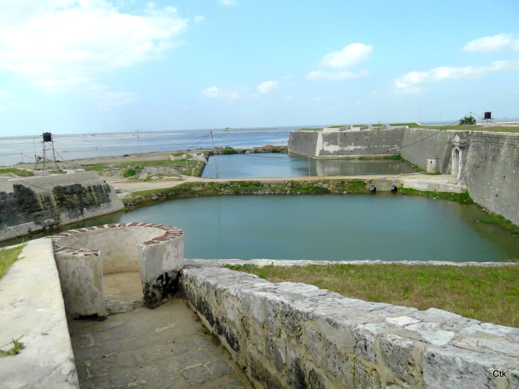 DSCF2864.JPG