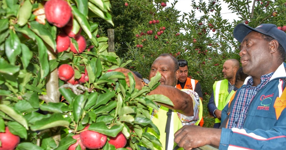 Malum Nalu PM Marape applauds PNG seasonal workers in New Zealand