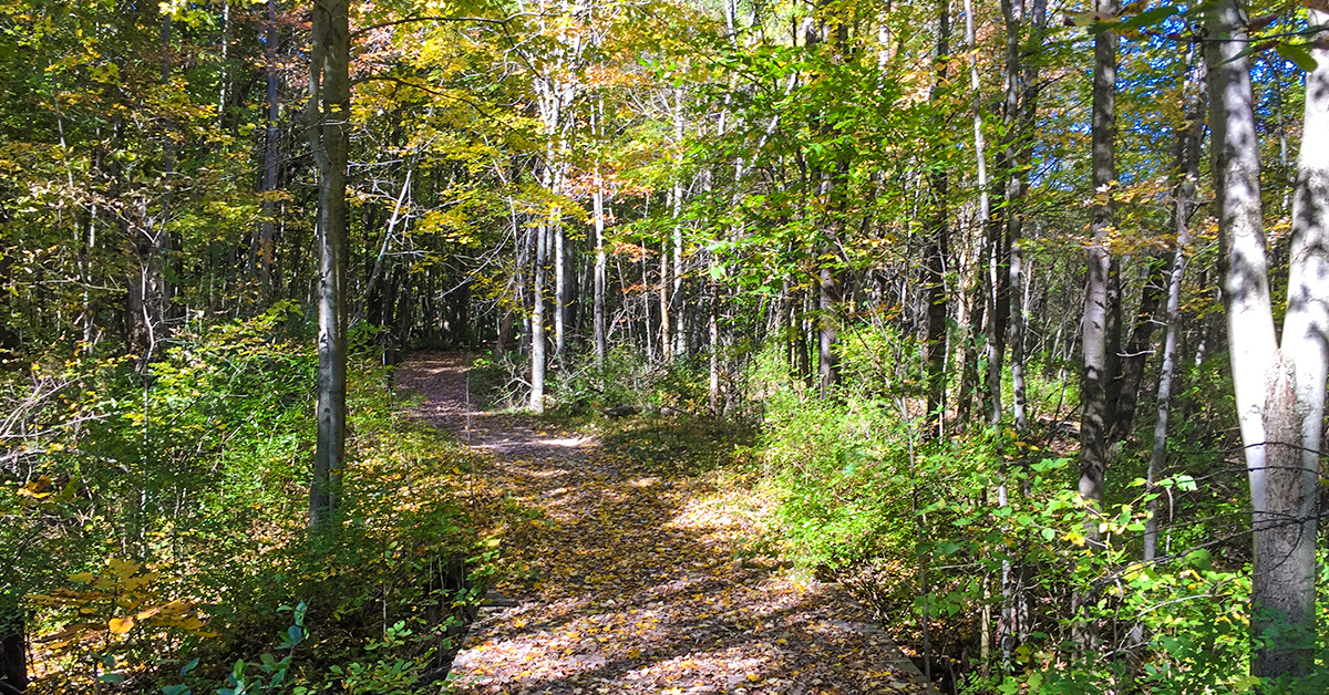 Upland Trail at Devil's Lake State Park