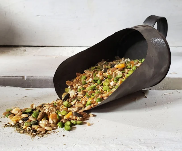 Metal scoop with seeds and grains