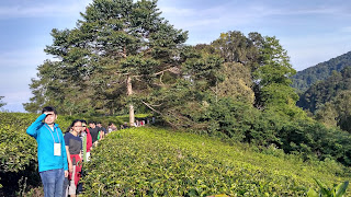 3 Rekomendasi Tempat Camping di Puncak Bogor