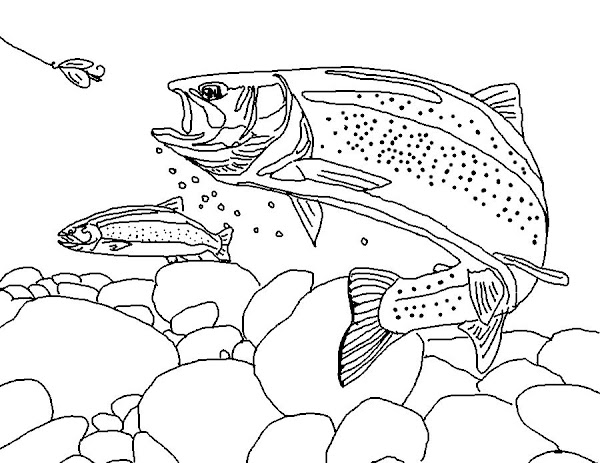 Fish Coloring Pages Dltk Download Printable Trout